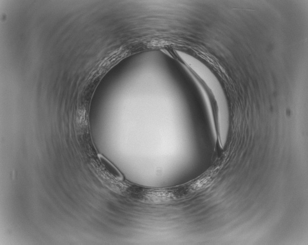 X0000058120521200510171313