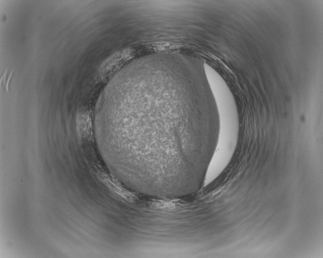 X0000058120523200510171313