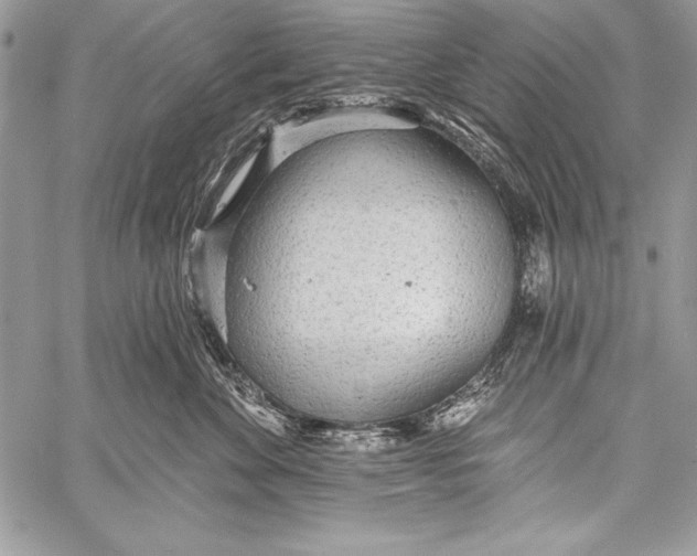 X0000058120524200510171313