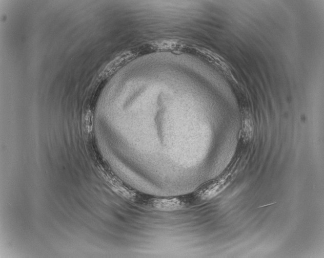 X0000058120525200510171313