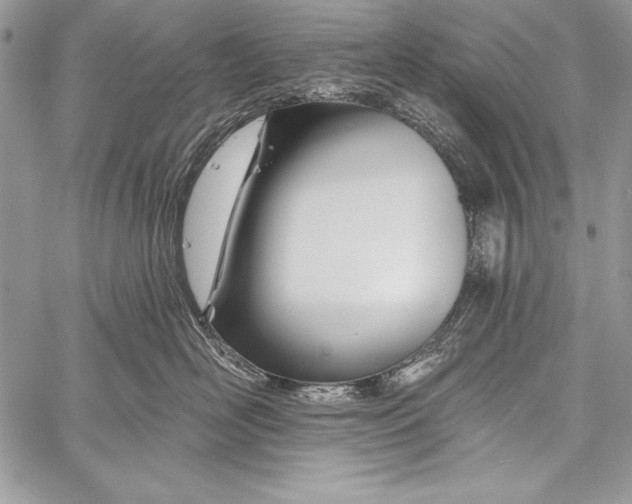 X0000058120526200510171313