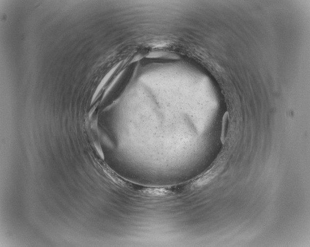 X0000058120528200510171313