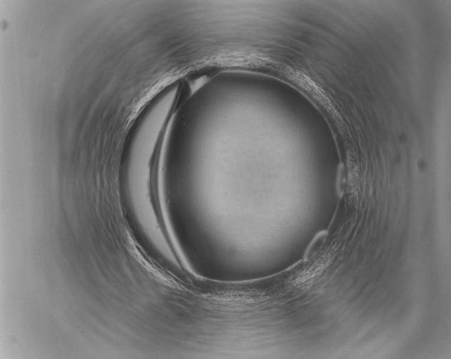 X0000058120530200510171312