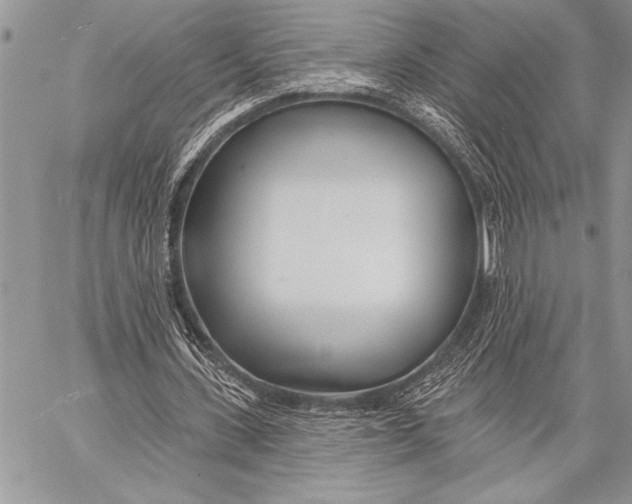 X0000058120531200510171312