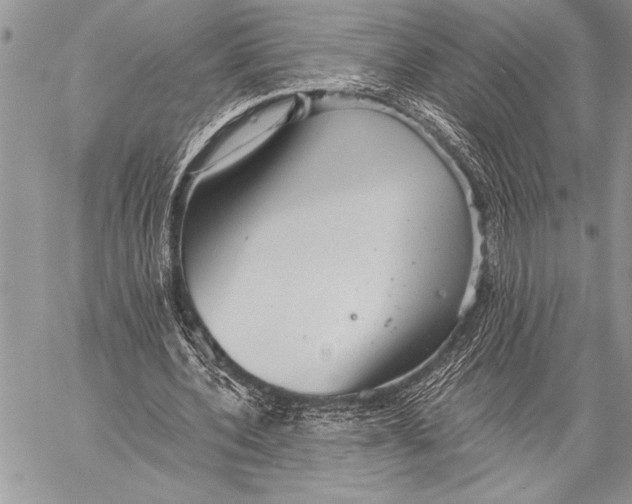 X0000058120532200510171312