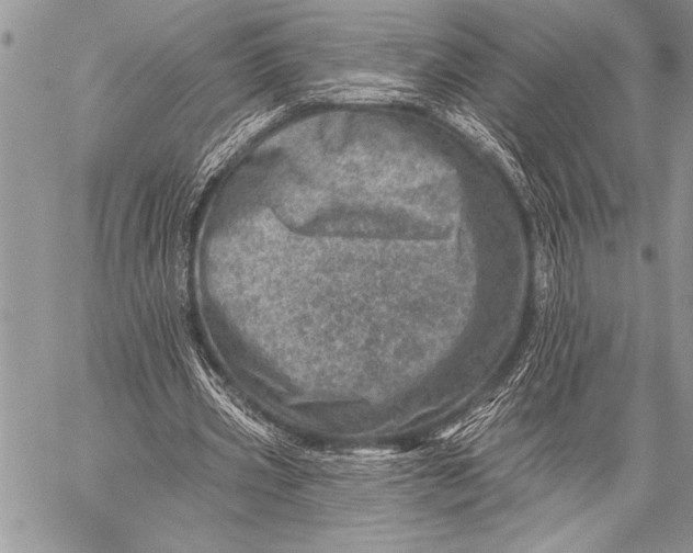 X0000058120533200510171312