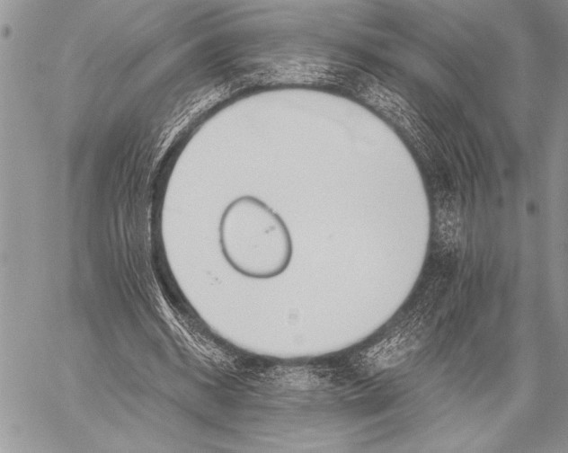 X0000058120534200510171312