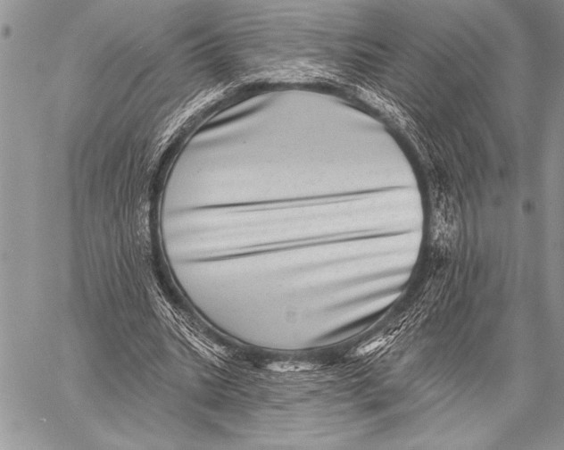 X0000058120535200510171312