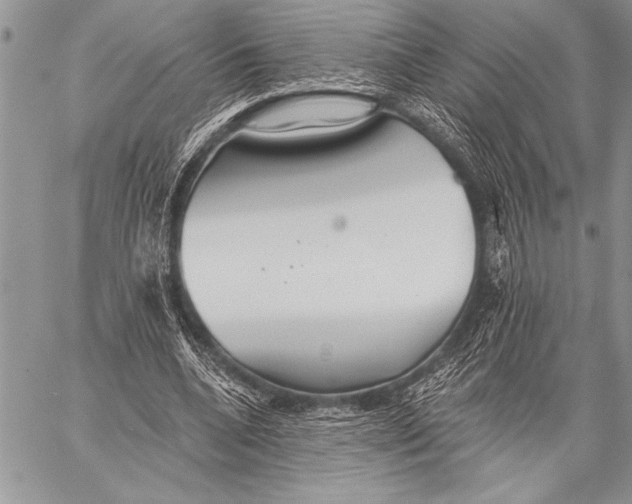 X0000058120536200510171312