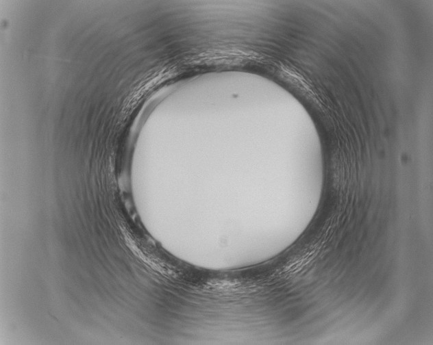 X0000058120538200510171313