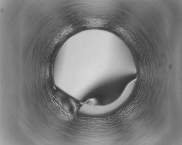 X0000058120539200510171313