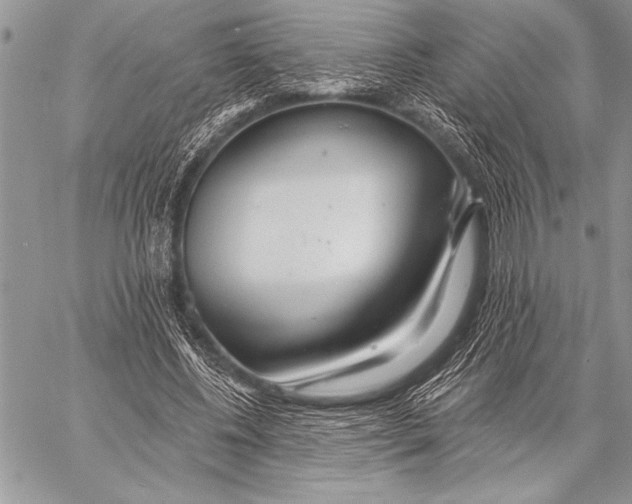 X0000058120540200510171313