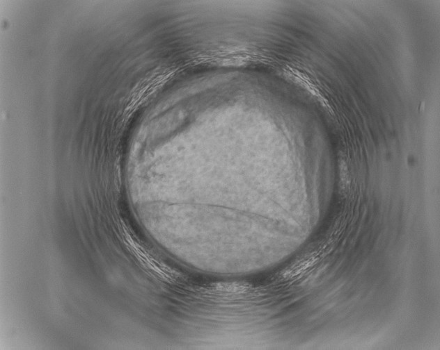 X0000058120541200510171313