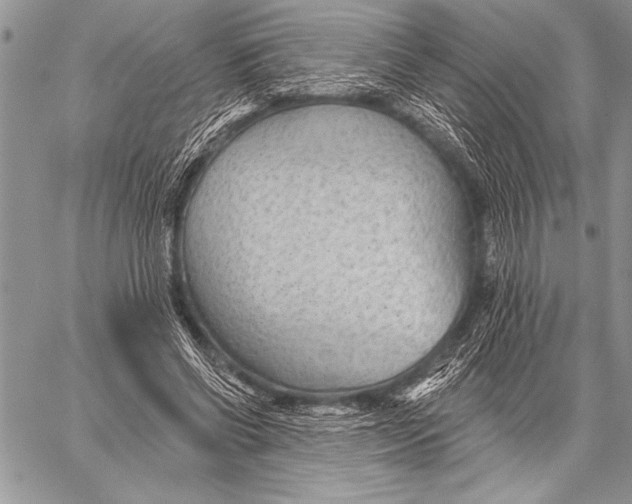 X0000058120542200510171313