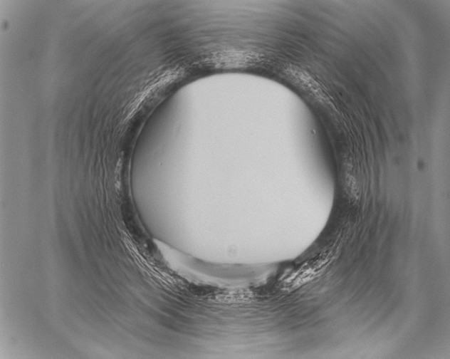 X0000058120543200510171313