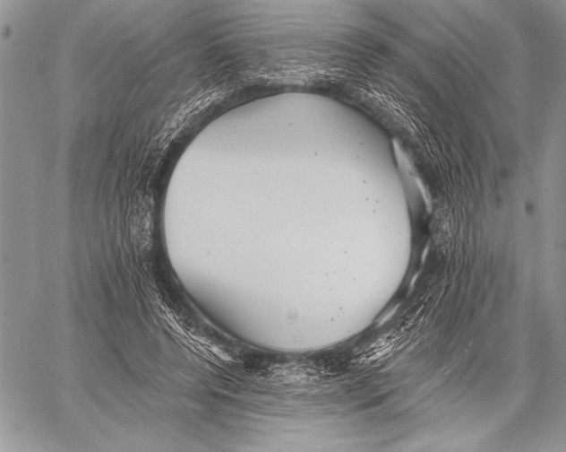 X0000058120544200510171313