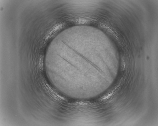 X0000058120545200510171313