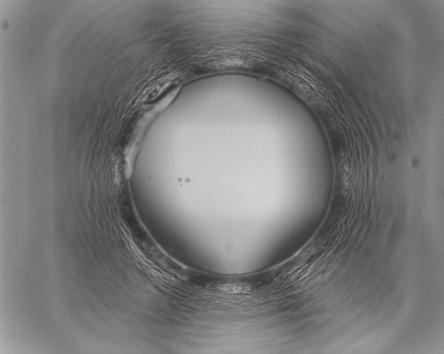 X0000058120546200510171313