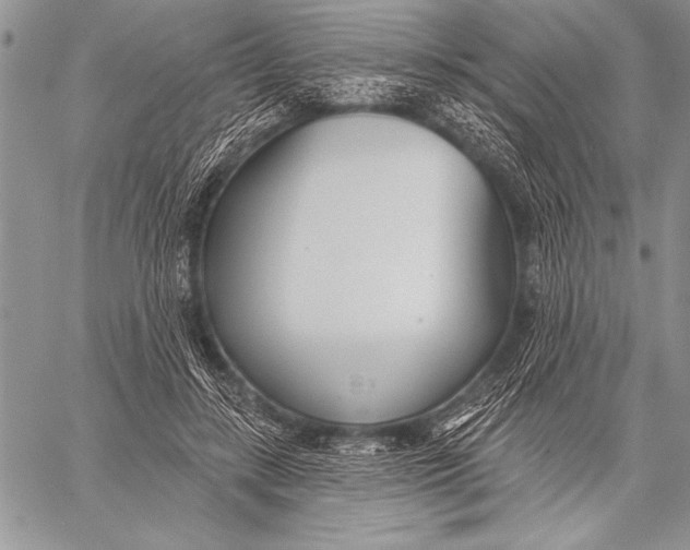 X0000058120547200510171313