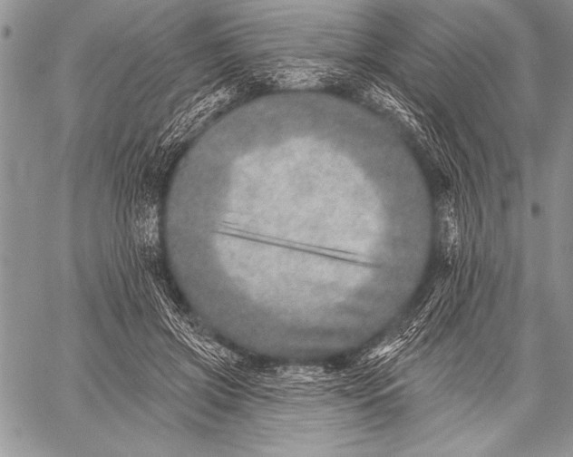 X0000058120549200510171313