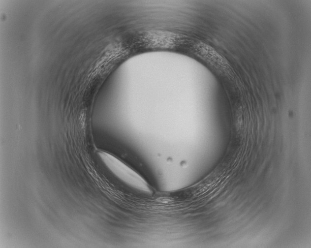 X0000058120551200510171313