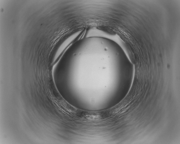 X0000058120552200510171313