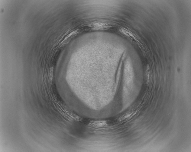 X0000058120554200510171313