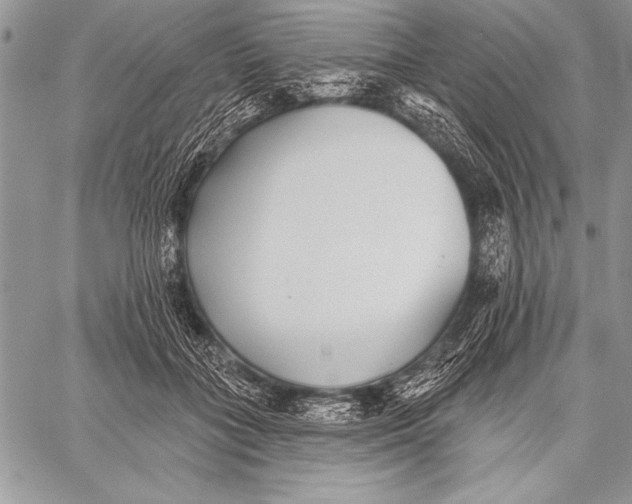 X0000058120555200510171313