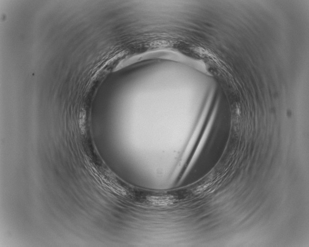 X0000058120556200510171313