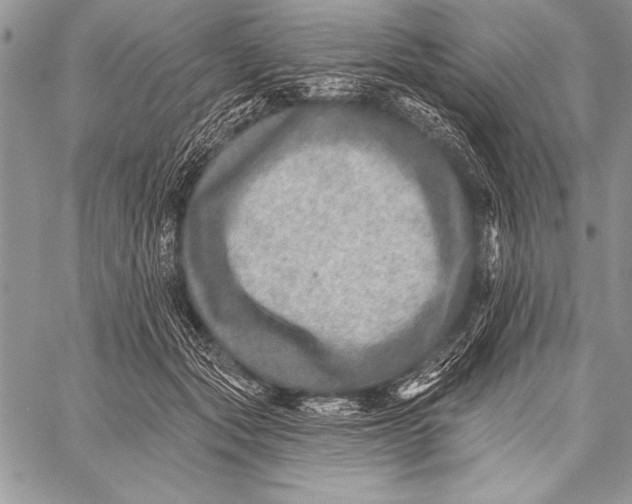 X0000058120557200510171313