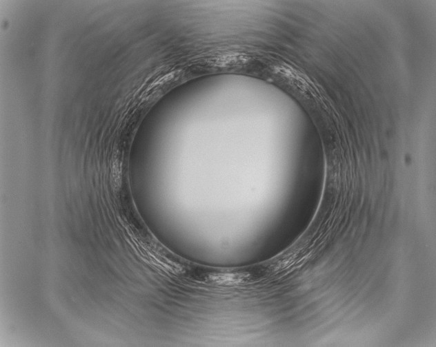 X0000058120558200510171313