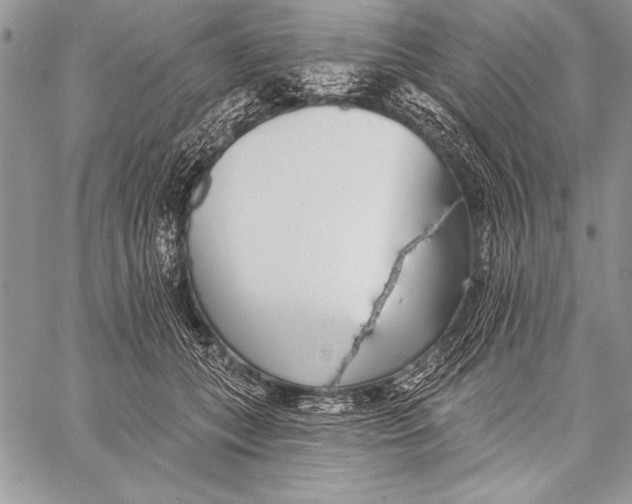 X0000058120559200510171313