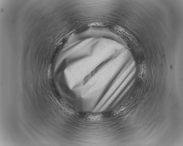 X0000058120560200510171313