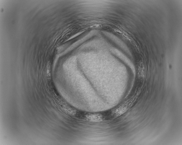 X0000058120561200510171313