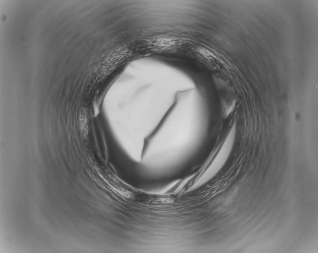 X0000058120562200510171313