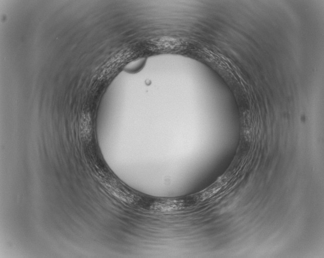 X0000058120563200510171313