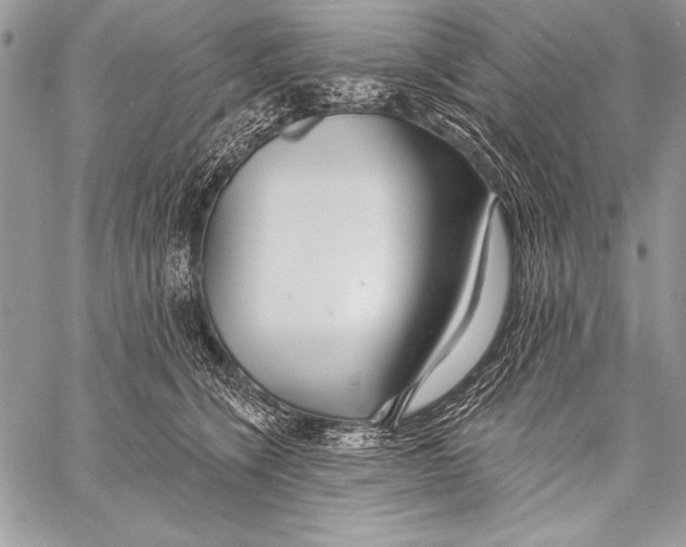 X0000058120564200510171313