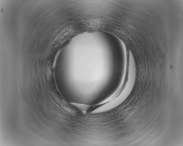 X0000058120566200510171313