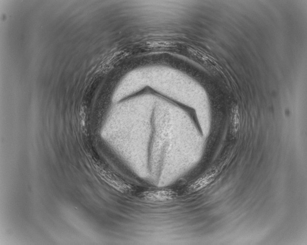 X0000058120567200510171313