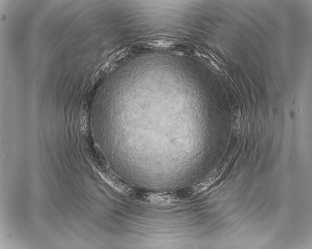 X0000058120568200510171313