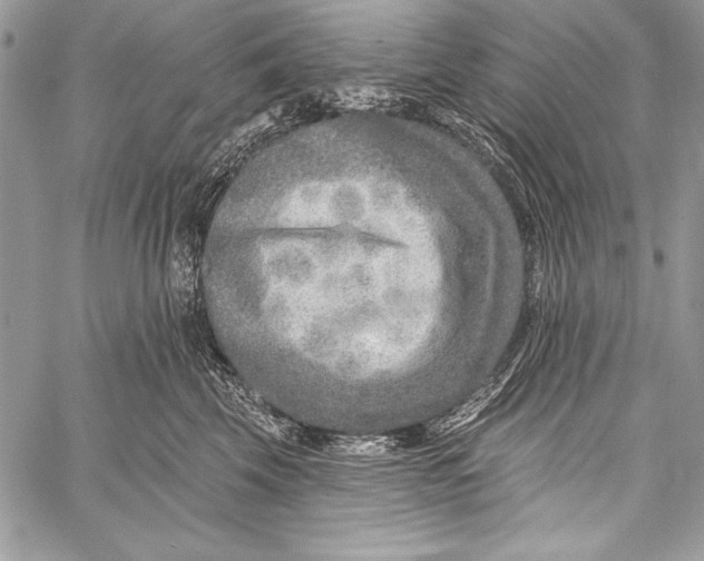 X0000058120569200510171313