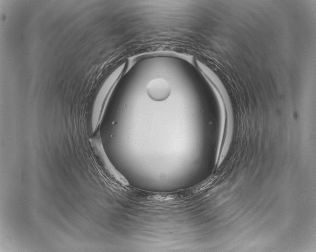 X0000058120570200510171313