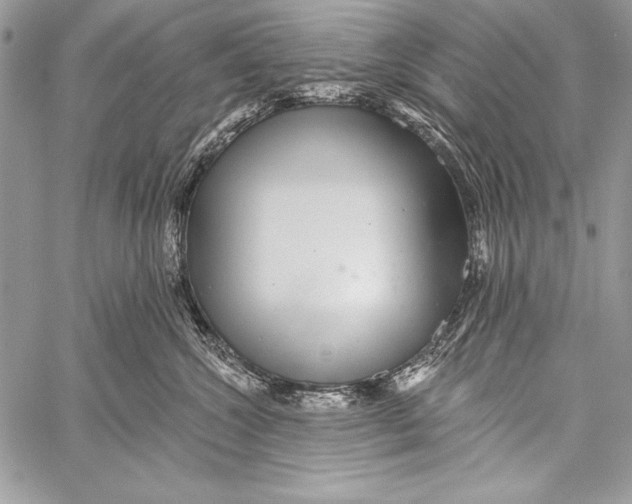 X0000058120572200510171313