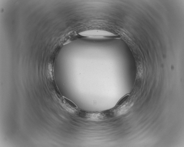 X0000058120575200510171313