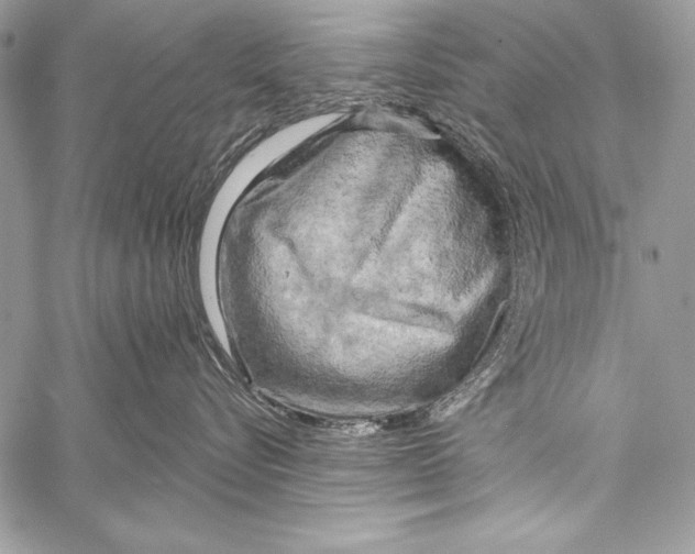 X0000058120576200510171313