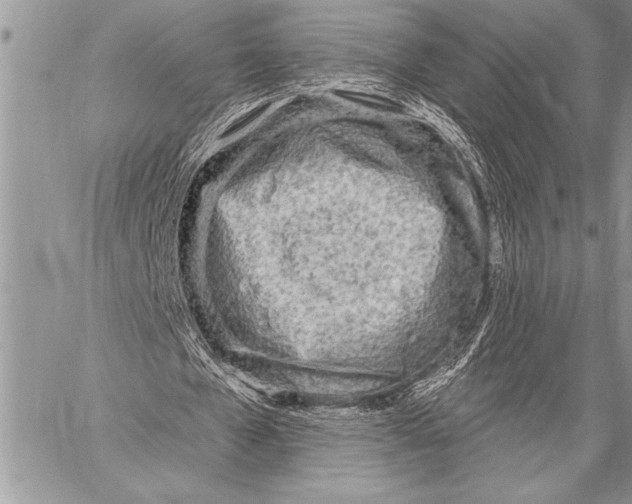 X0000058120577200510171312