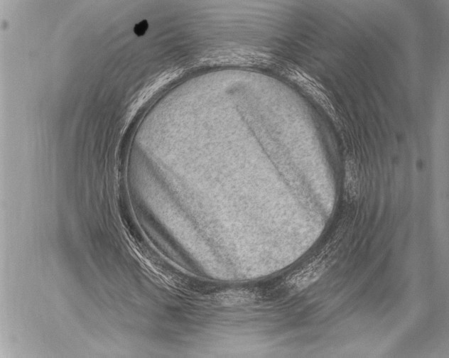 X0000058120578200510171312