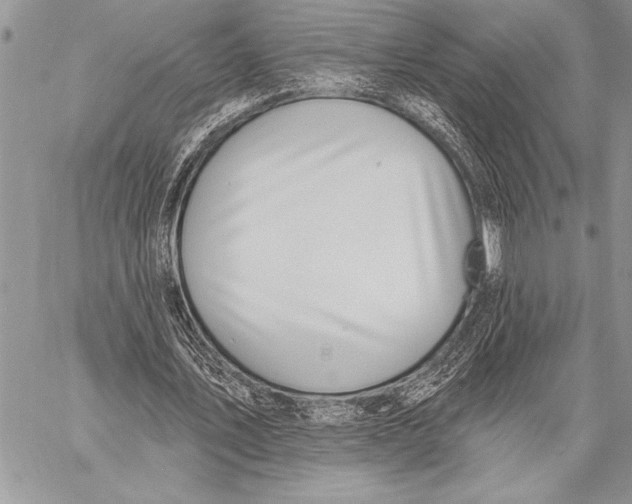 X0000058120579200510171312