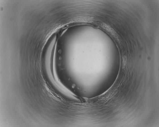 X0000058120580200510171312