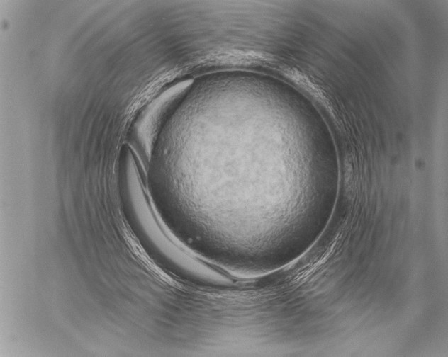 X0000058120581200510171312